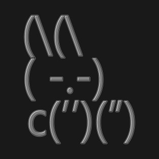 ASCII BUNNY Design T-Shirt