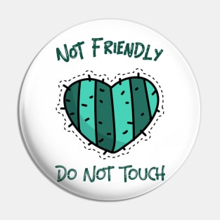Not Friendly Do Not Touch Pin