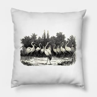 herons in the lake Pillow