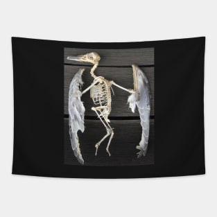 Found bird Skeleton - Photography  by Avril Thomas - Adelaide / South Australia Artist Tapestry