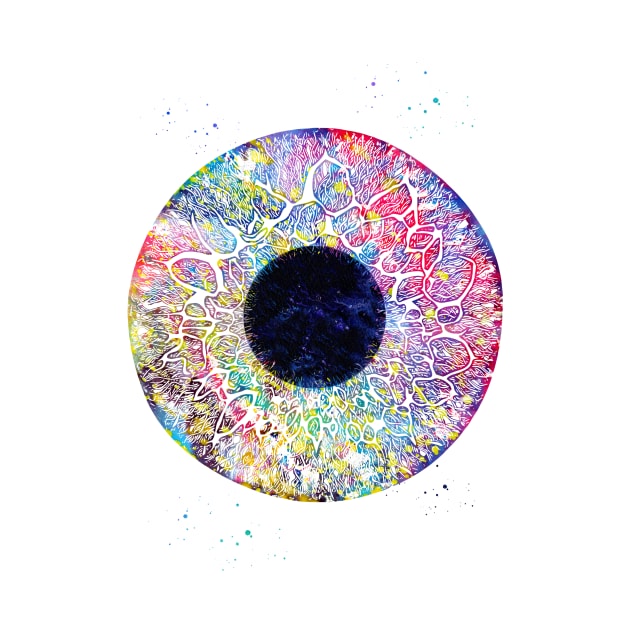 Human Eye by erzebeth