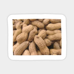 Peanut Photo Art Magnet