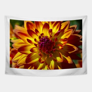 Wonderful Red Yellow Dahlia Close Up Tapestry