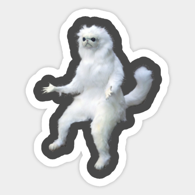 Persian Cat Room Guardian Meme Classic Persian Cat Room Guardian
