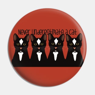 Never underestimate the power of a black cat. Black cats on a red background Pin