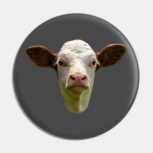 Young calf Pin