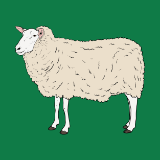 Sheep T-Shirt