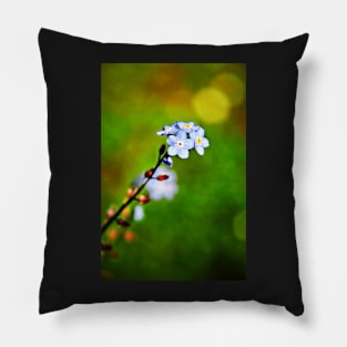 A Forget Me Not flower Pillow