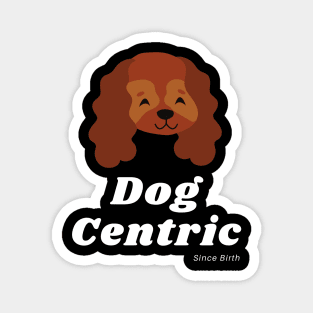 Spaniel Dog Centric Since Birth Magnet