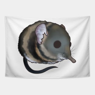 Elephant Shrew Tapestry