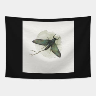 Stonefly Tapestry