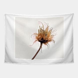 Bad Hair Day Tapestry