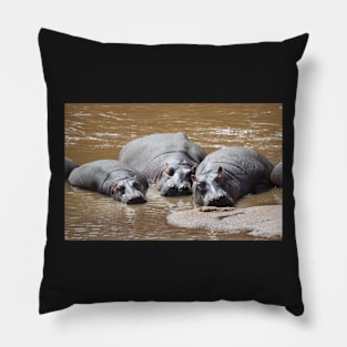 Hippos in The Mara Pillow