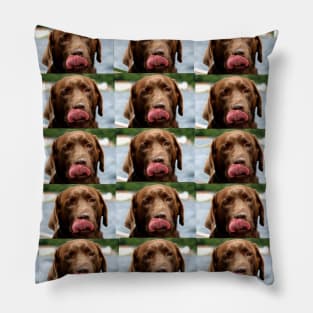 Labrador Retriever chocolate tile Pillow