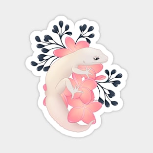 Leopard Gecko, Blizzard, and Frangipani Flowers Magnet