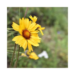 yellow flowers T-Shirt