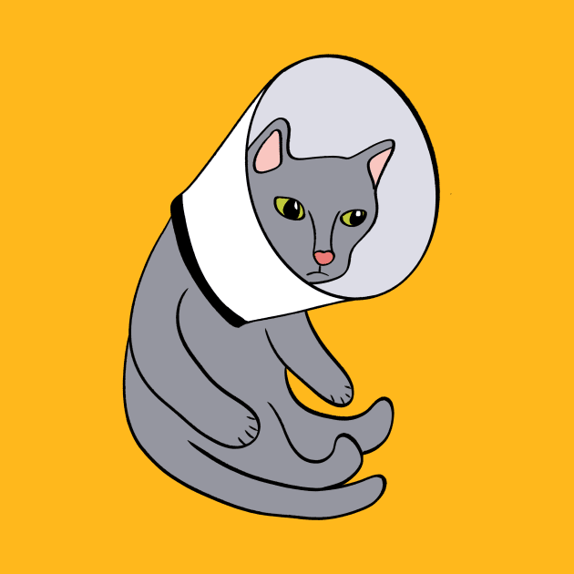 Cat in a Cone by Alissa Carin