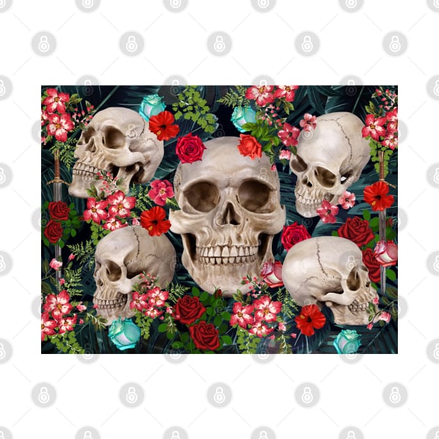 skulls by MARK ASHKENAZI