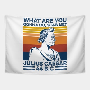 What Are You Gonna Do Stab Me Julius Caesar Vintage Shirt Tapestry