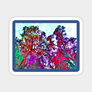 Fall Trees Magnet