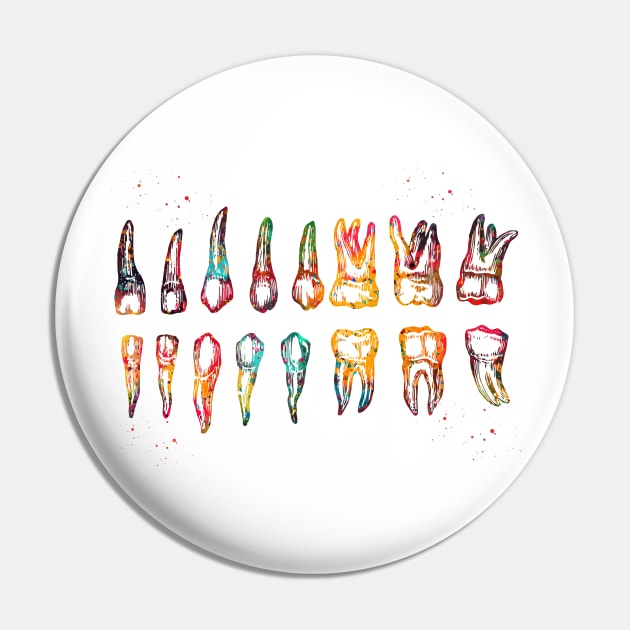 Teeth Diagram Pin by erzebeth