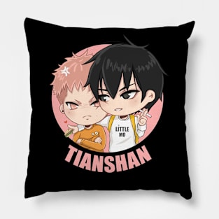 TianShan Pillow