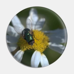 Fly On Daisies Pin