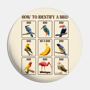 How To Identify A Bird Pin