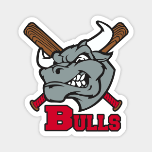 Bulls Baseball Logo Magnet