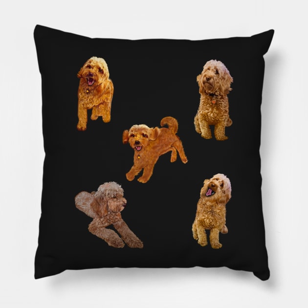 Cavapoo Cavoodle puppy pattern -puppies galore ! cute cavalier king charles spaniel Pillow by Artonmytee