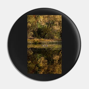 'Autumn Magic 5', Loch Dunmore, Pitlochry Pin