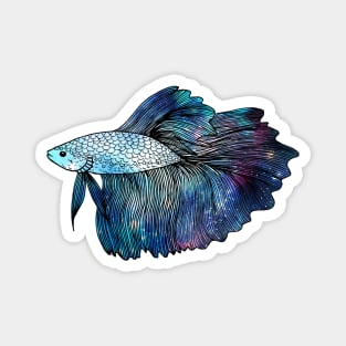 Betta Fish Galaxy Magnet