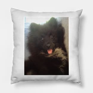 Pom Pom 11 Pillow