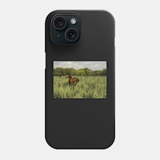 Brown Horse having lunch Phone Case