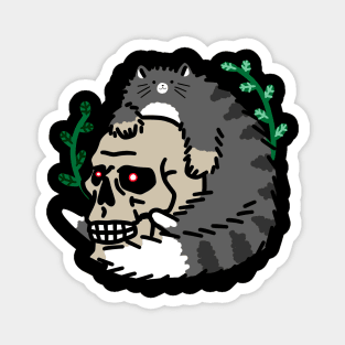 Gray Tabby Cat with a Spooky Skull Magnet