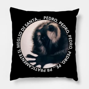 PEDRO, PEDRO, PEDRO, PEDRO, PE... PR PRATICAMENTE Pillow