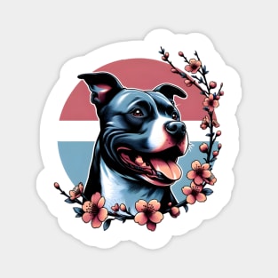 Staffordshire Bull Terrier Revels in Spring Cherry Blossoms Magnet