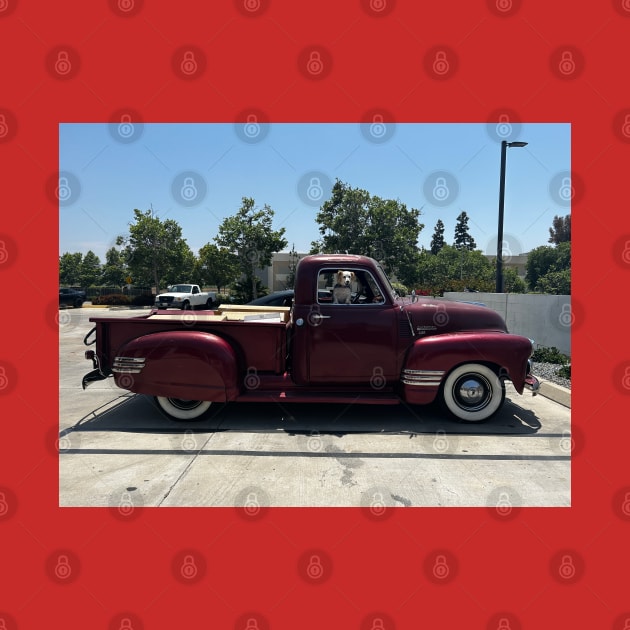 1949 Chevy 3100 by Nenas60