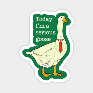 Today I'm A Serious Goose Magnet