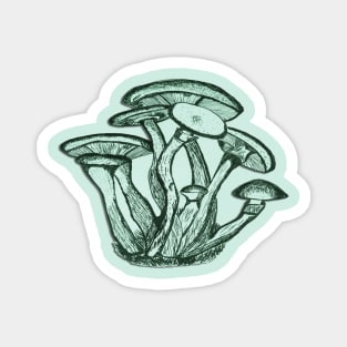 mint mushrooms Magnet