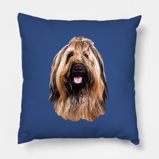 Briard with Style! Pillow