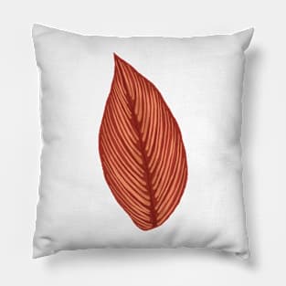 Calathea Cittata Leaf Pillow