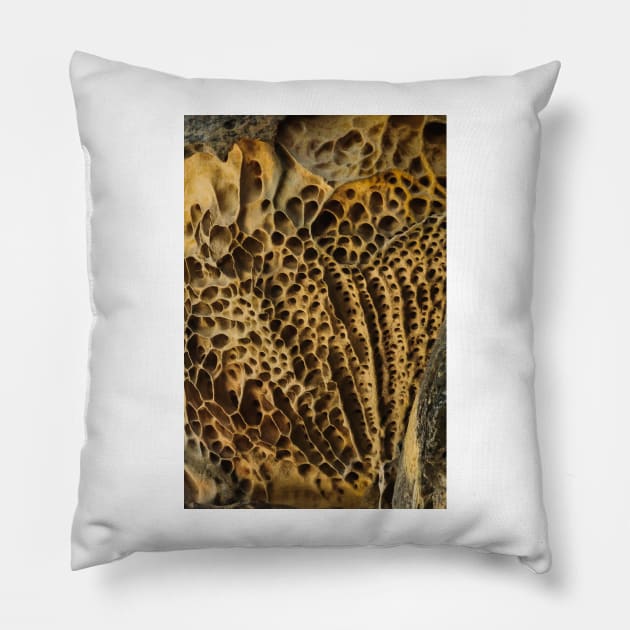 Ceiling Pillow by fotoWerner