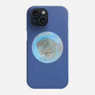 Zodiac sign aries Phone Case