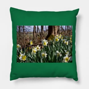 Springtime Pillow