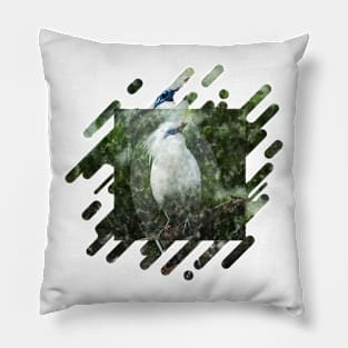 LEUCOPSAR ROTHSCHILDI Pillow