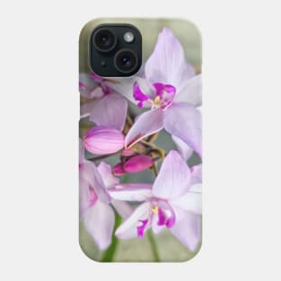 Pink Orchids (Spathoglottis) Phone Case