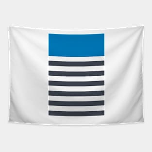 Bright blue with dark grey stripe pattern Tapestry