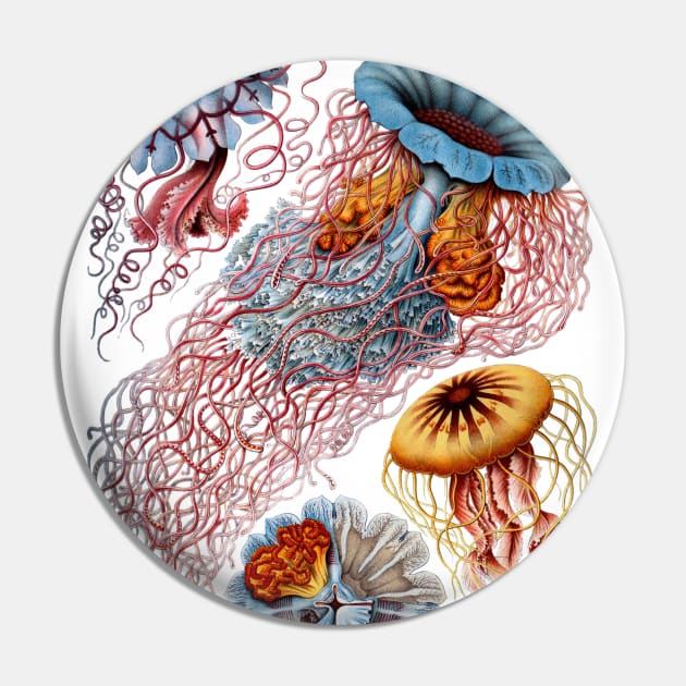 Jellyfish by Ernst Haeckel Pin by MasterpieceCafe