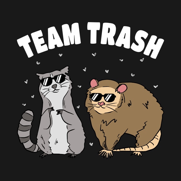 Team Trash Raccoon Rat by Tobias Store